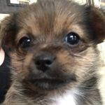 Madeline Fields - @lets_be_honest._.mads - Instagram