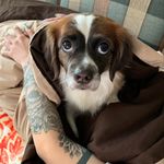 Shasta Madeline Fields - @shastathekooiker - Instagram