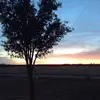 Madeline - @madeline.fuchs - TikTok