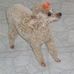 Madeline Grabowski - Facebook