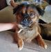 Madeline Graham - Facebook
