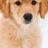 Madeline Hampton - @madelinehampton_3492 - TikTok