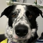 madeline - @madeline.handfield - Instagram