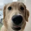 madeline hanley - @madeline.hanley - TikTok