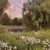 Madeleine Hansen - @user8379199707498 - TikTok