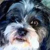 madelineharley671 - @madelineharley671 - TikTok