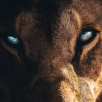 Madeline Hatch - @emberlioness - Instagram