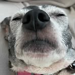 Madeline Hines - Facebook