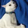 Madeline Ho - @pfopbsbsimt - TikTok