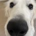 Madeline Horne - Facebook