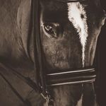 Madeline Horne - @hornemadeline - Instagram