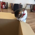 Madeline Hulse - Facebook