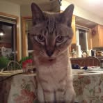 Madeline Stoneburg Hulse - Facebook