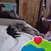 Maddie Hutton - Facebook