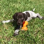 Madeline Hutton - @madeline_thegsp - Instagram