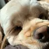 madeline.knowles - @madeline.knowles - TikTok