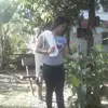 Madelyn Lanza - @madelynlanza - TikTok
