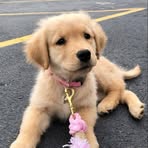 Madeleine Larson - Facebook
