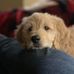Madeline Lowery - Facebook