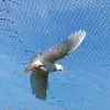 Madeline Mandel - @madeline.mandel3 - TikTok
