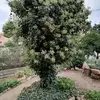 Madeleine Mariotti - @madeleine.mariott - TikTok