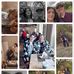 Madelyn Mcelroy - Facebook