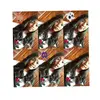 Madelinemesa👑 - @052425018_mdlslr - TikTok