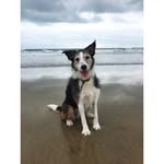 Agustina-Madeline Moreau 💖 - @skipp_the_dog - Instagram