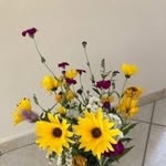 Madeleine Moreau - @madeleine.moreau.1610 - Instagram