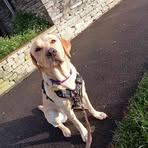 Maddie Mortimer - Facebook