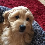 Madeline Paris - @madelineparis7 - Instagram