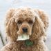 Madeline Richey - Facebook
