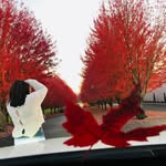 Madeline Rivers Photography - @madeline_rivers_photography - Instagram