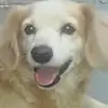 Madeline6913 - @madelinerosado997 - TikTok