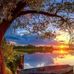 Madeleine Roy - Facebook