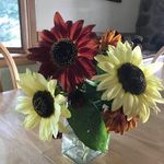 Madeline Roy - @madeline.roy.902 - Instagram