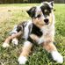 Madeleine Rupp - Facebook