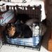 Madeleine Saunders - Facebook