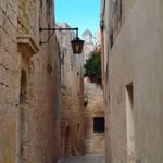 Madeline Shoemaker - @qaqusaison - Instagram