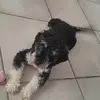 tizianasilvero# - @madelinesilvero - TikTok