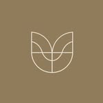 Dental Wellness Studio by Dr Madeline Sinclair - @dentalwellness.studio - Instagram