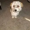 Madeline Steadham - @madeline.steadham - TikTok