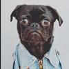 madeline_sassy_gurl - @madeline_steiner13 - TikTok