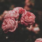Madeline Stringer - @madelinestringer99 - Instagram