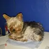 Madeline Suarez - @user96023948 - TikTok