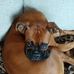 Madeleine Tremblay - Facebook
