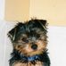 Madeleine Tremblay - Facebook