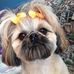 Madeleine Tremblay - Facebook