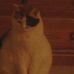 Madeline Tremblay - Facebook