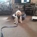 Madeline Wiseman - Facebook
